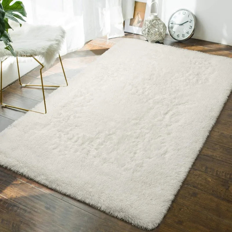 Indoor Soft Fluffy Bedroom Rug