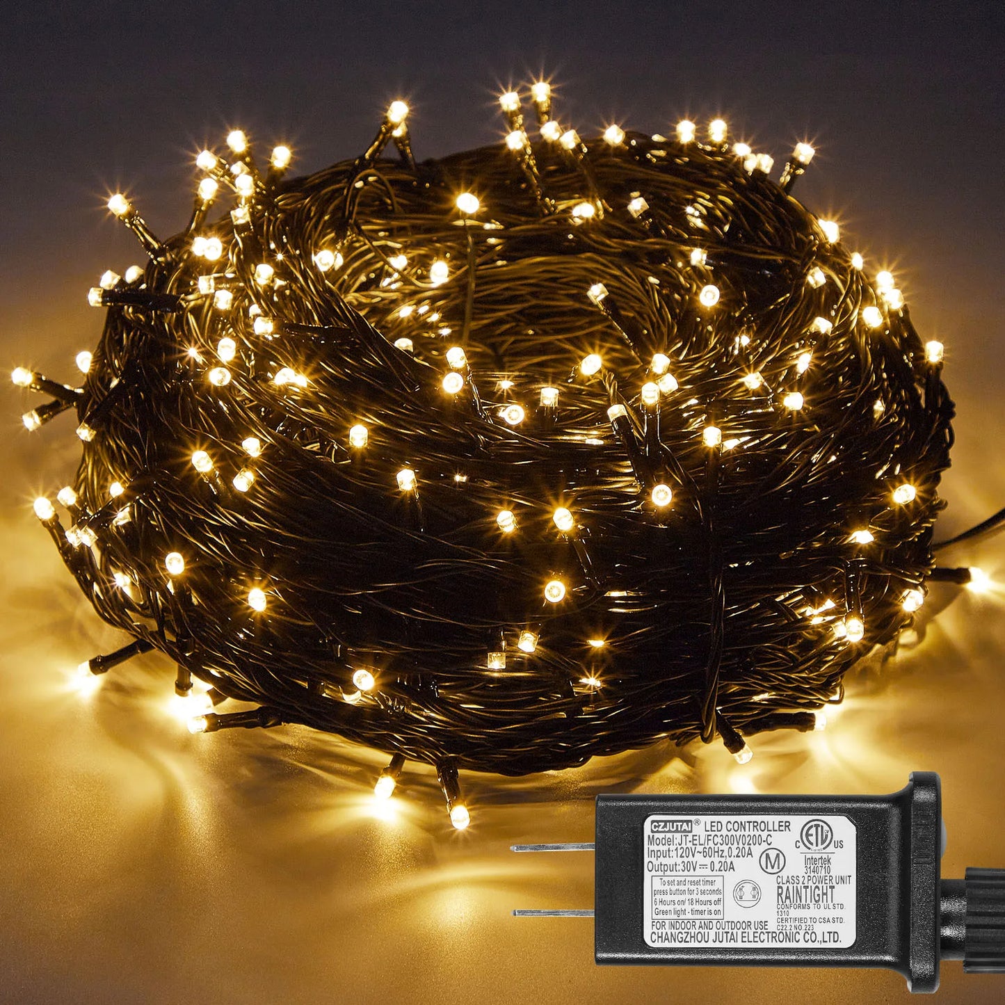 Outdoor Black Wire Fairy String Lights