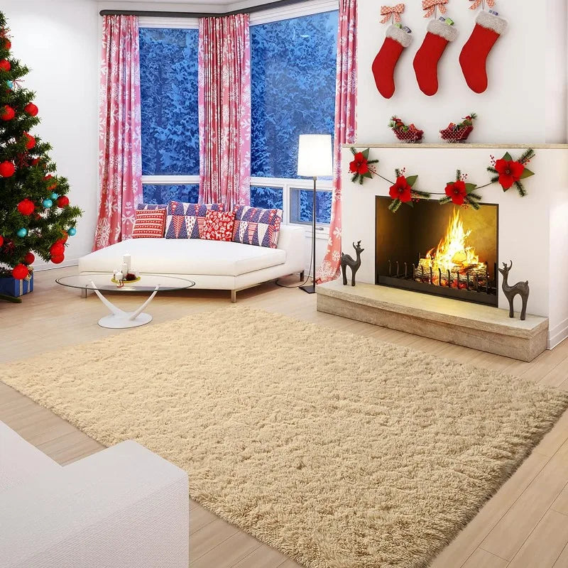 Indoor Soft Fluffy Bedroom Rug