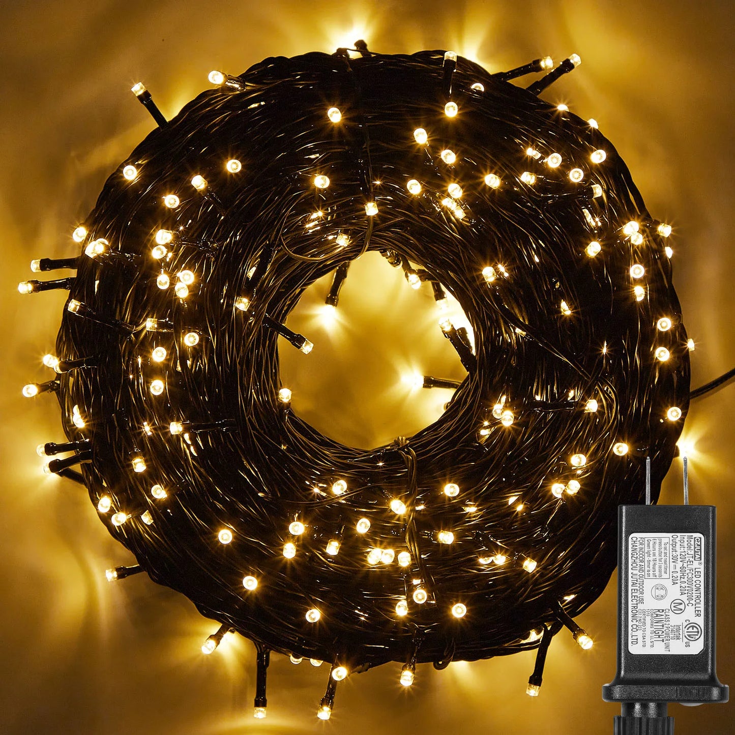 Outdoor Black Wire Fairy String Lights