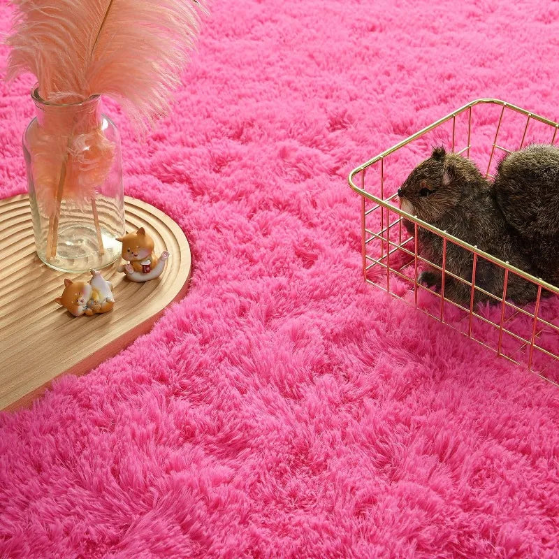 Indoor Soft Fluffy Bedroom Rug