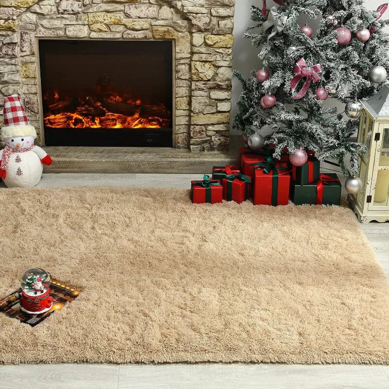 Indoor Soft Fluffy Bedroom Rug