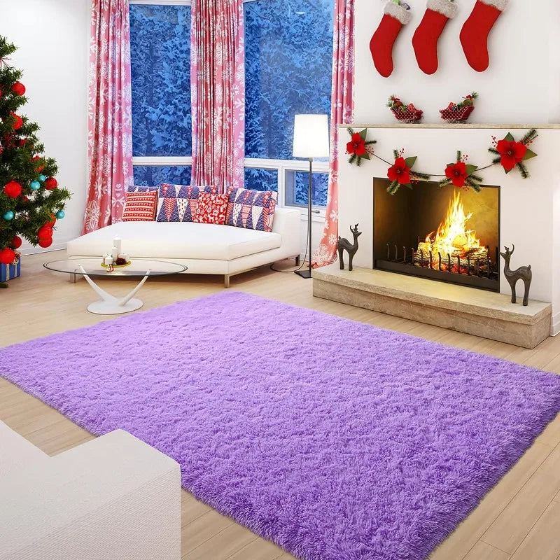 Indoor Soft Fluffy Bedroom Rug