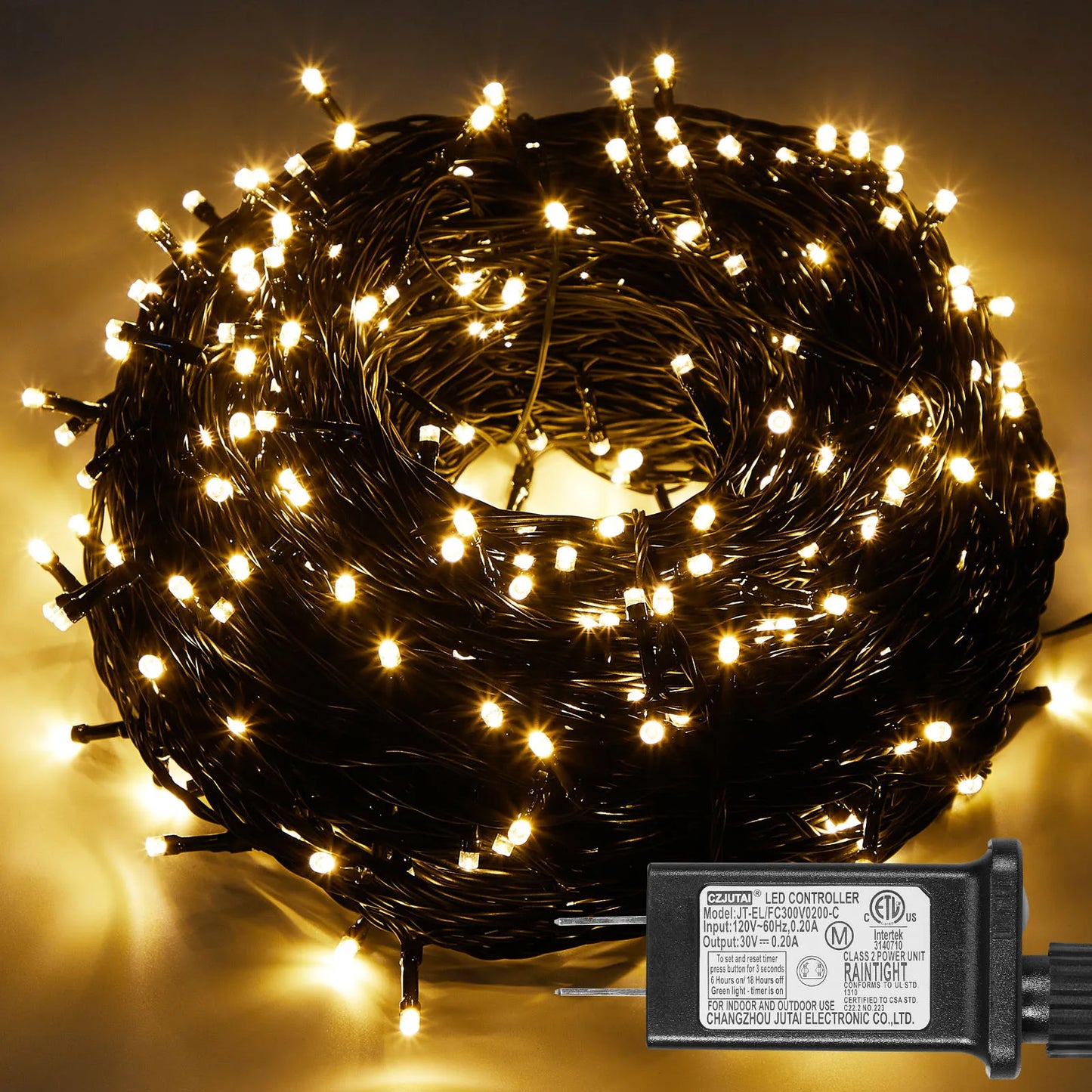 Outdoor Black Wire Fairy String Lights