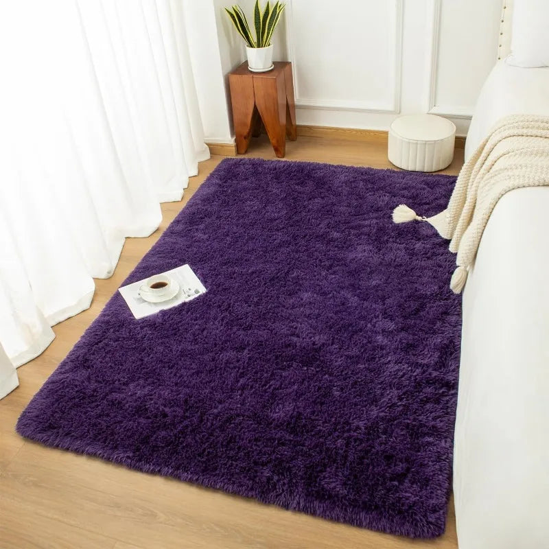 Indoor Soft Fluffy Bedroom Rug