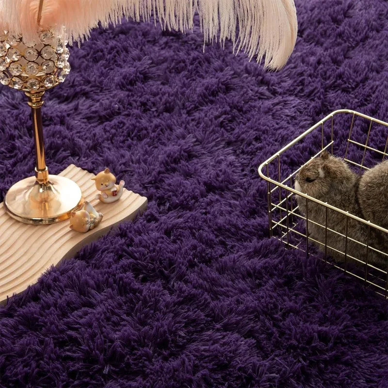 Indoor Soft Fluffy Bedroom Rug