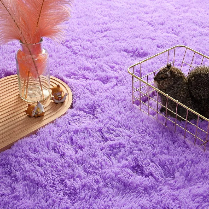 Indoor Soft Fluffy Bedroom Rug