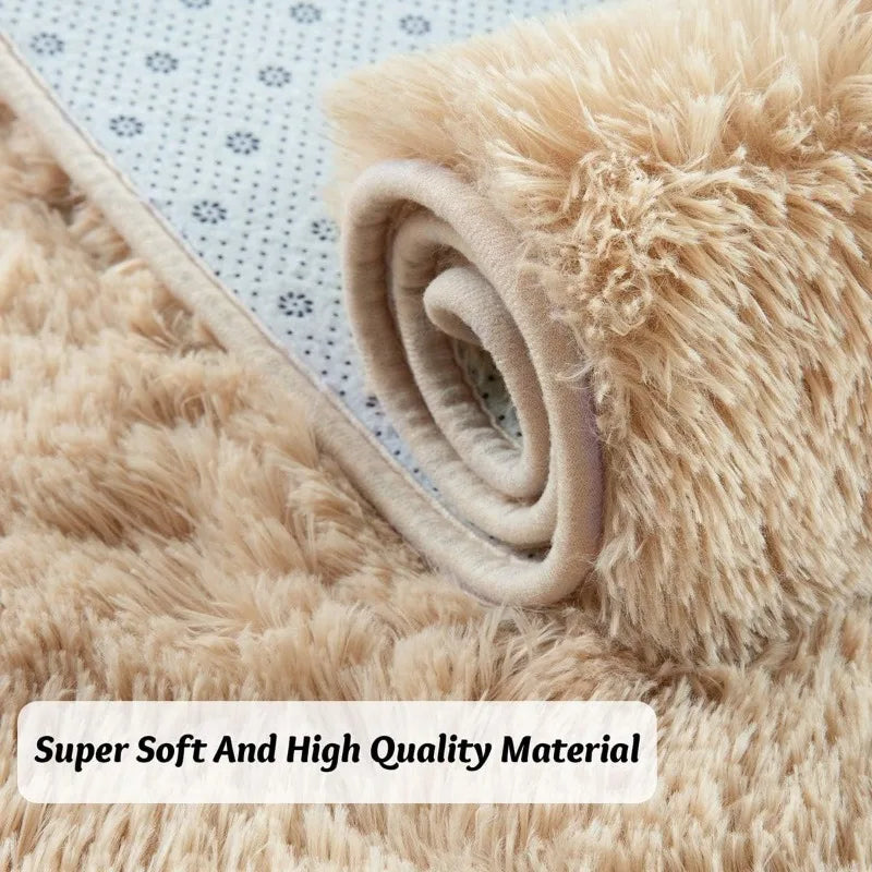 Indoor Soft Fluffy Bedroom Rug