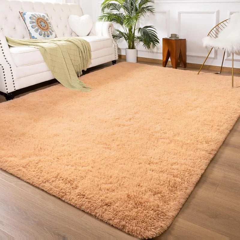 Indoor Soft Fluffy Bedroom Rug