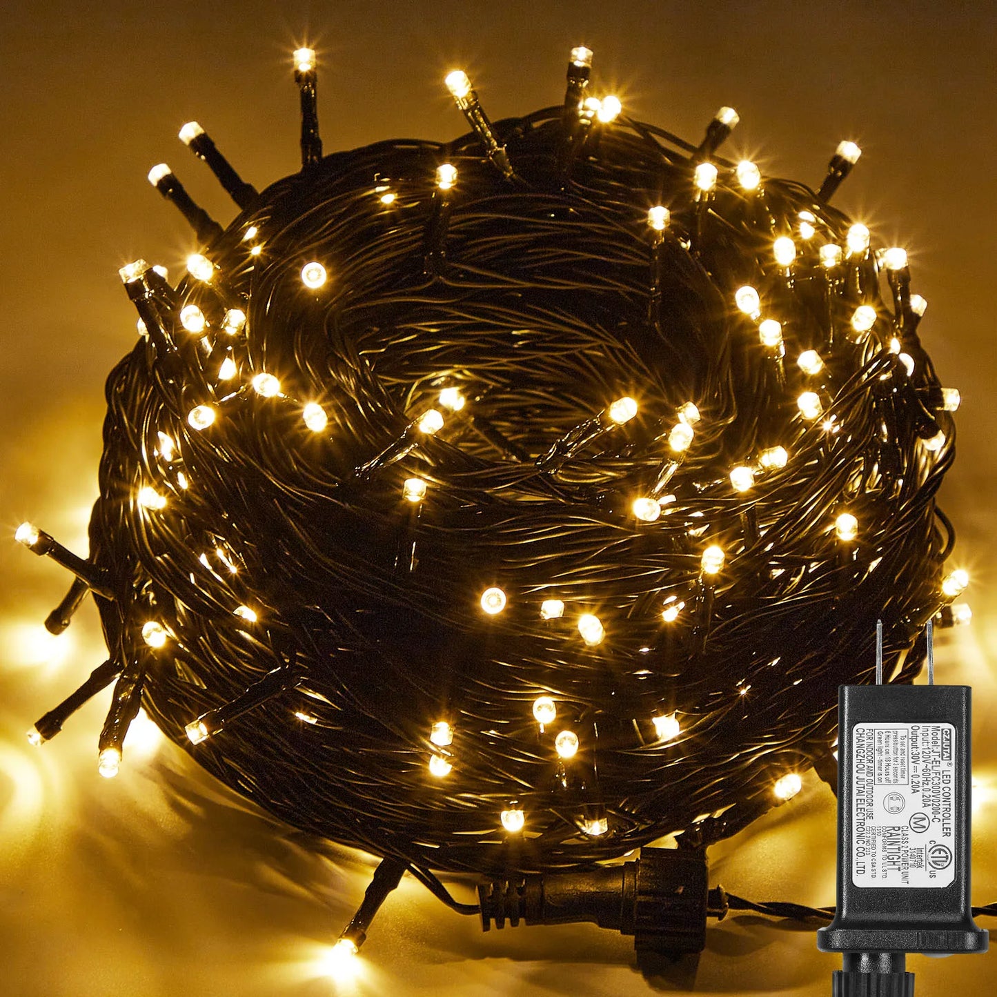 Outdoor Black Wire Fairy String Lights