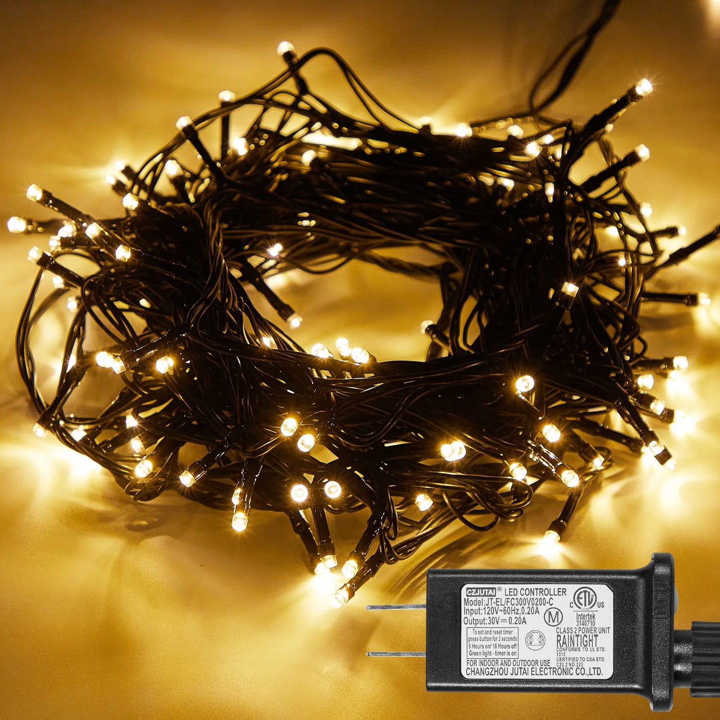 Outdoor Black Wire Fairy String Lights