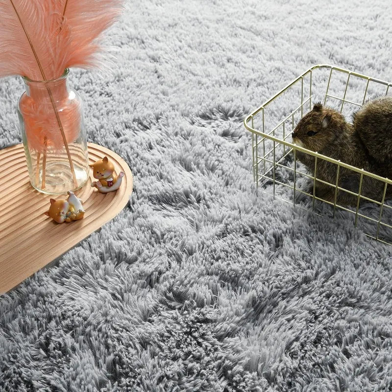 Indoor Soft Fluffy Bedroom Rug