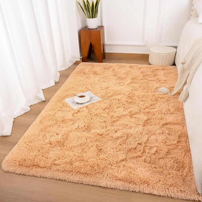 Indoor Soft Fluffy Bedroom Rug