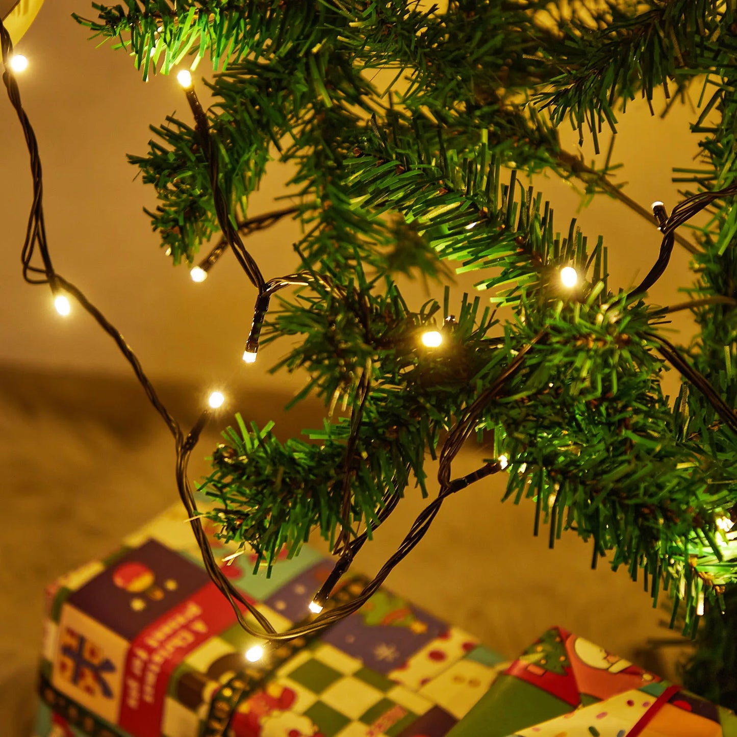 Outdoor Black Wire Fairy String Lights