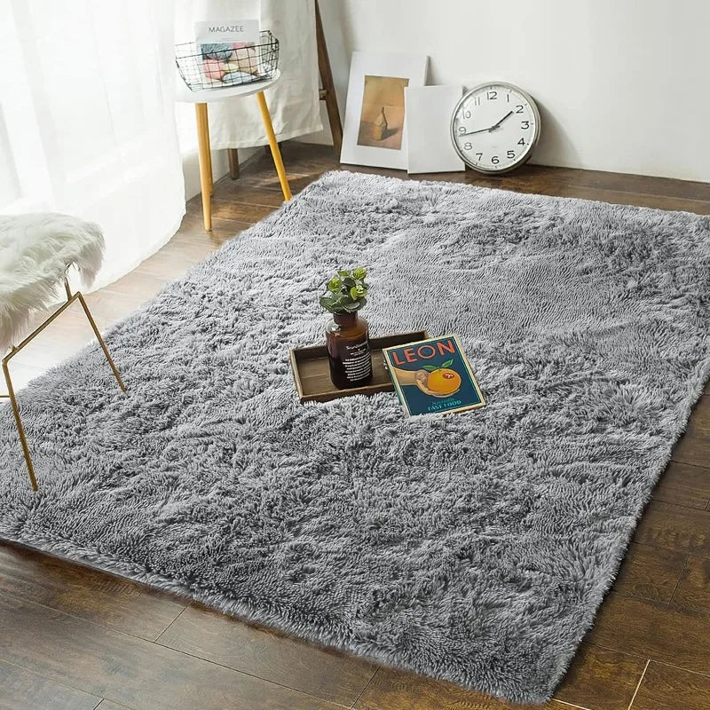 Indoor Soft Fluffy Bedroom Rug