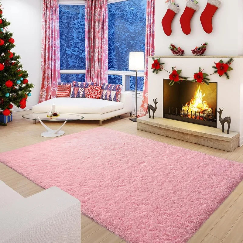 Indoor Soft Fluffy Bedroom Rug