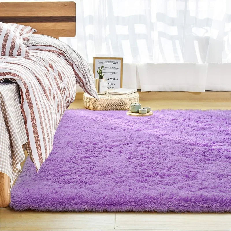 Indoor Soft Fluffy Bedroom Rug