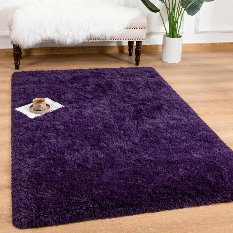 Indoor Soft Fluffy Bedroom Rug