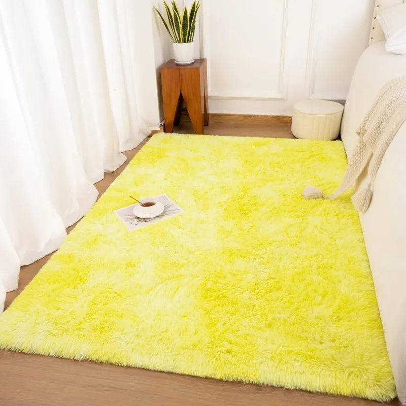 Indoor Soft Fluffy Bedroom Rug