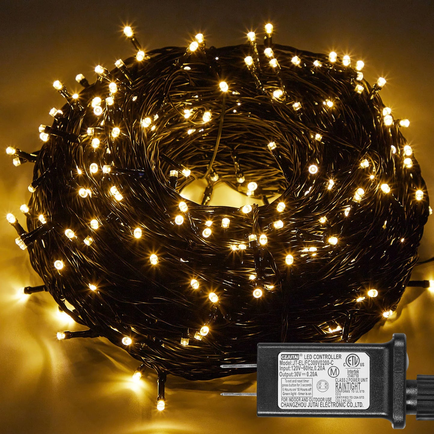 Outdoor Black Wire Fairy String Lights