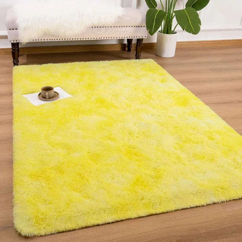 Indoor Soft Fluffy Bedroom Rug