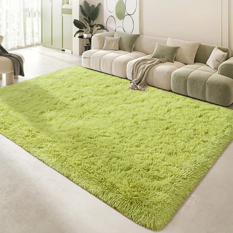 Indoor Soft Fluffy Bedroom Rug