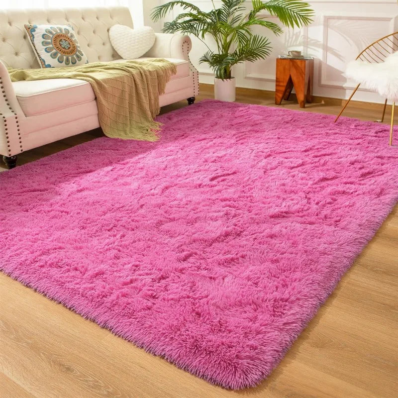 Indoor Soft Fluffy Bedroom Rug