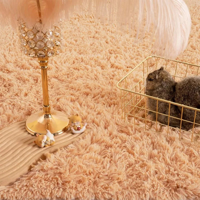 Indoor Soft Fluffy Bedroom Rug