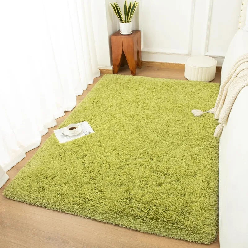 Indoor Soft Fluffy Bedroom Rug