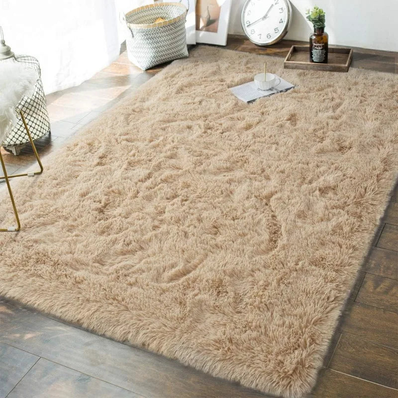 Indoor Soft Fluffy Bedroom Rug