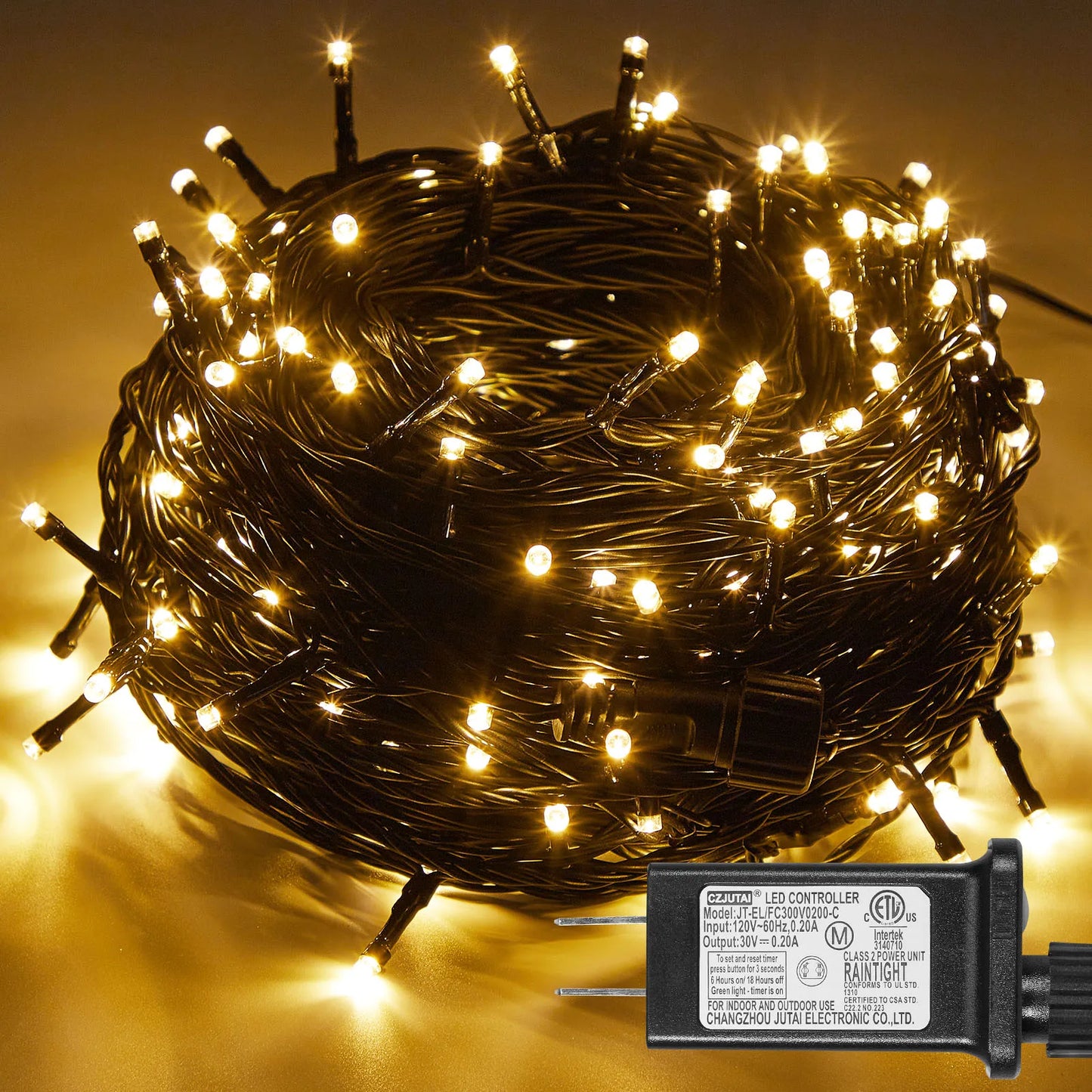 Outdoor Black Wire Fairy String Lights