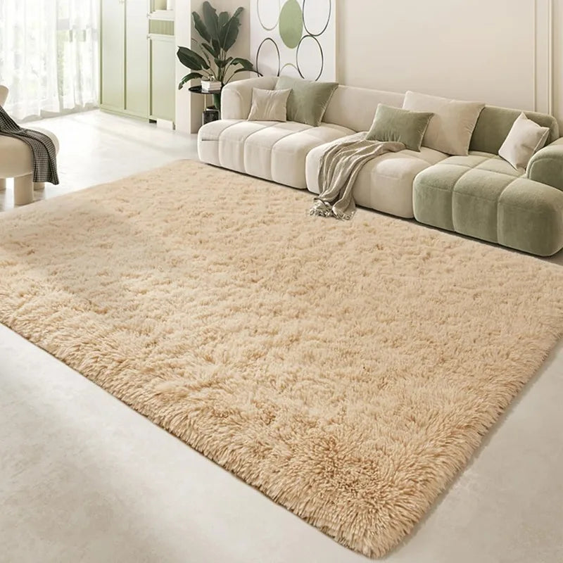 Indoor Soft Fluffy Bedroom Rug