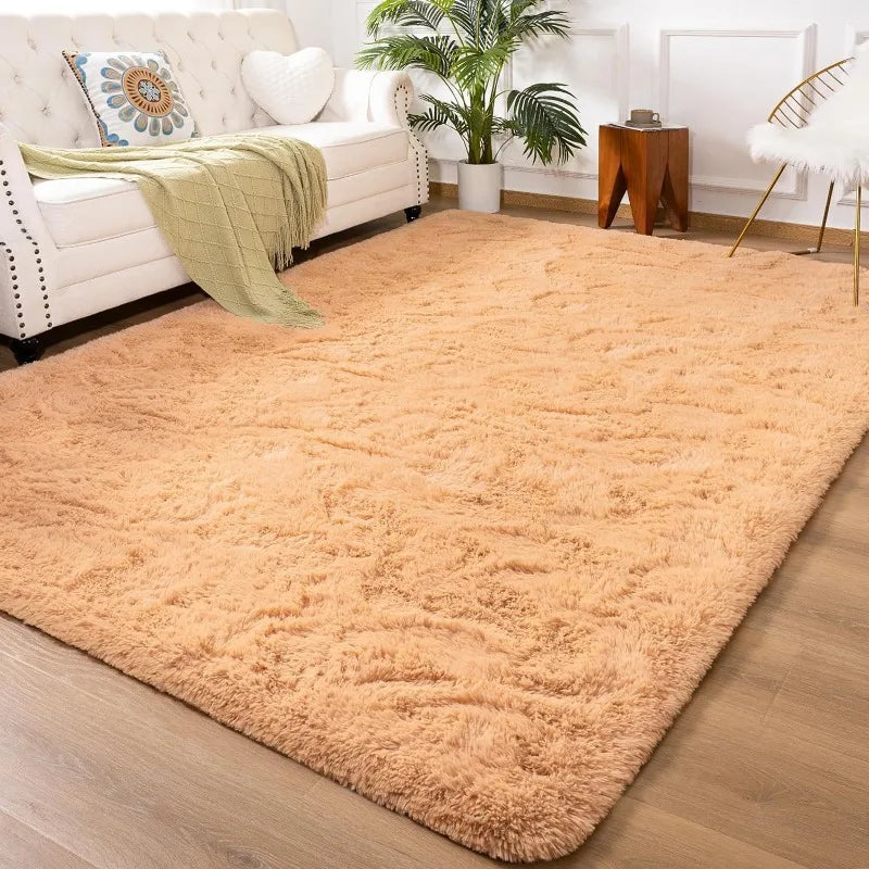 Indoor Soft Fluffy Bedroom Rug