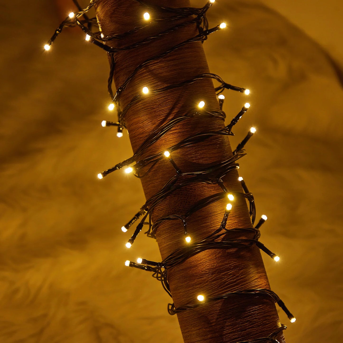 Outdoor Black Wire Fairy String Lights