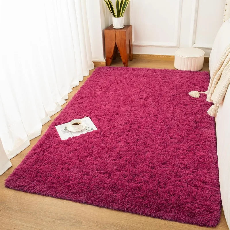 Indoor Soft Fluffy Bedroom Rug