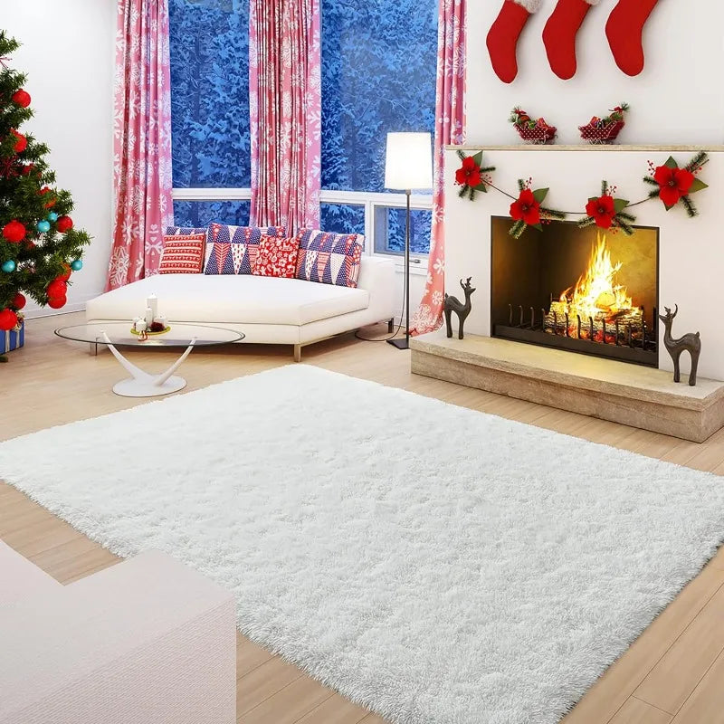 Indoor Soft Fluffy Bedroom Rug