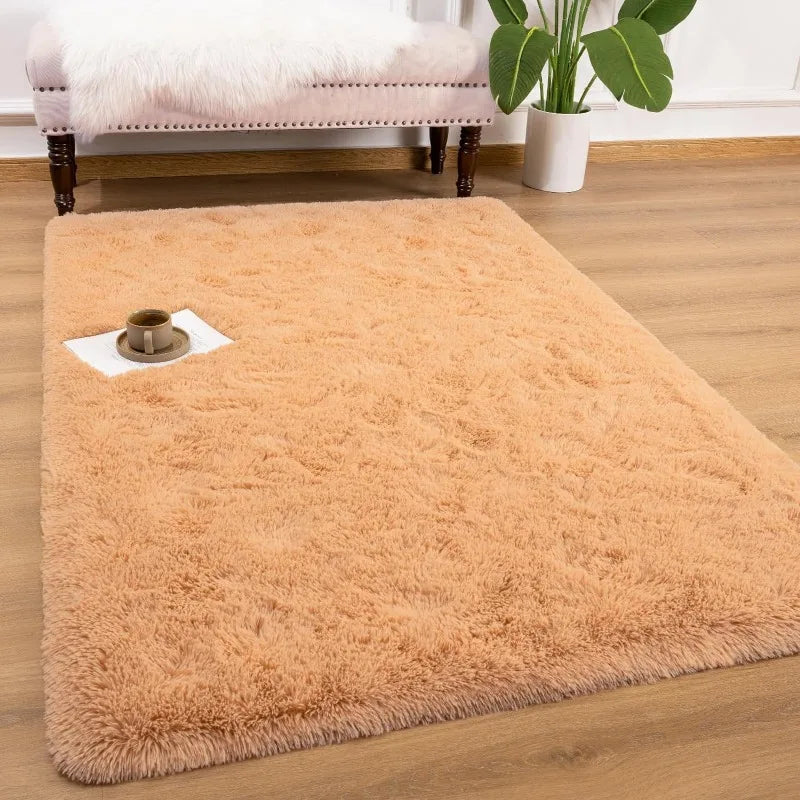 Indoor Soft Fluffy Bedroom Rug