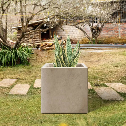 Square Concrete Planter