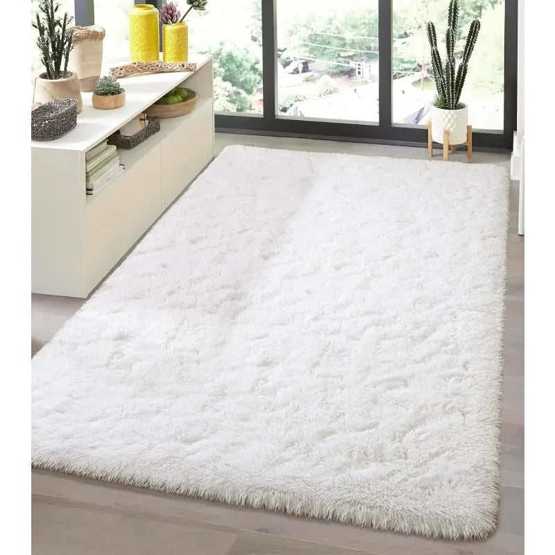 Indoor Soft Fluffy Bedroom Rug