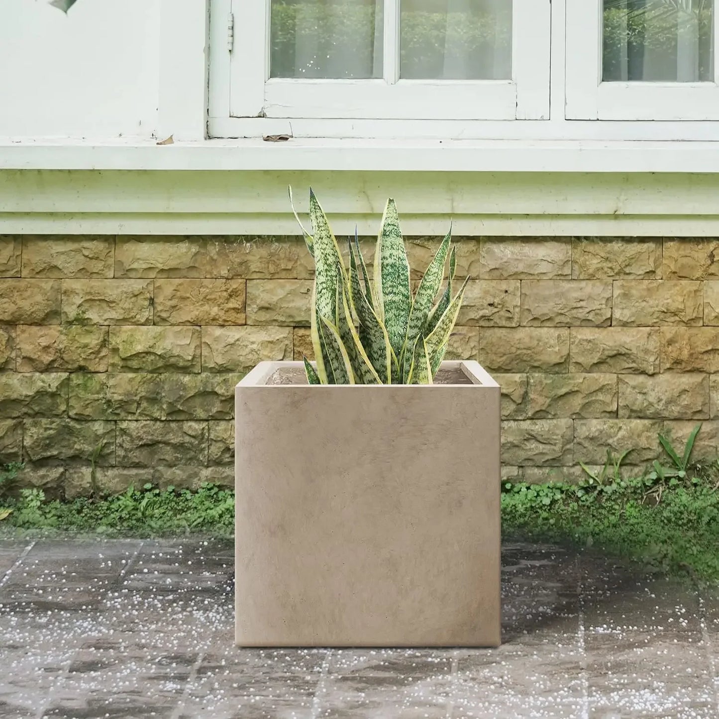 Square Concrete Planter