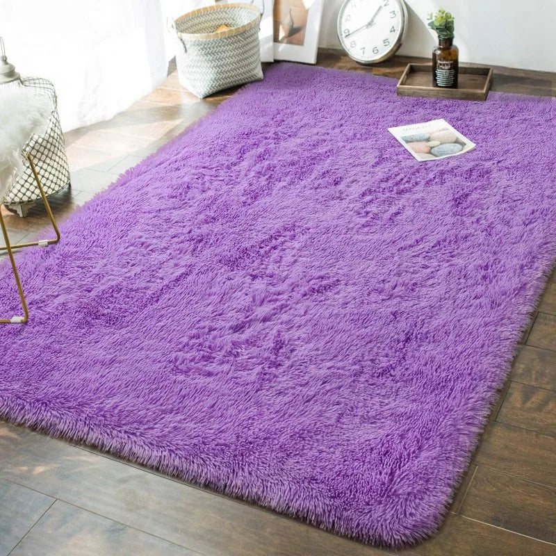 Indoor Soft Fluffy Bedroom Rug