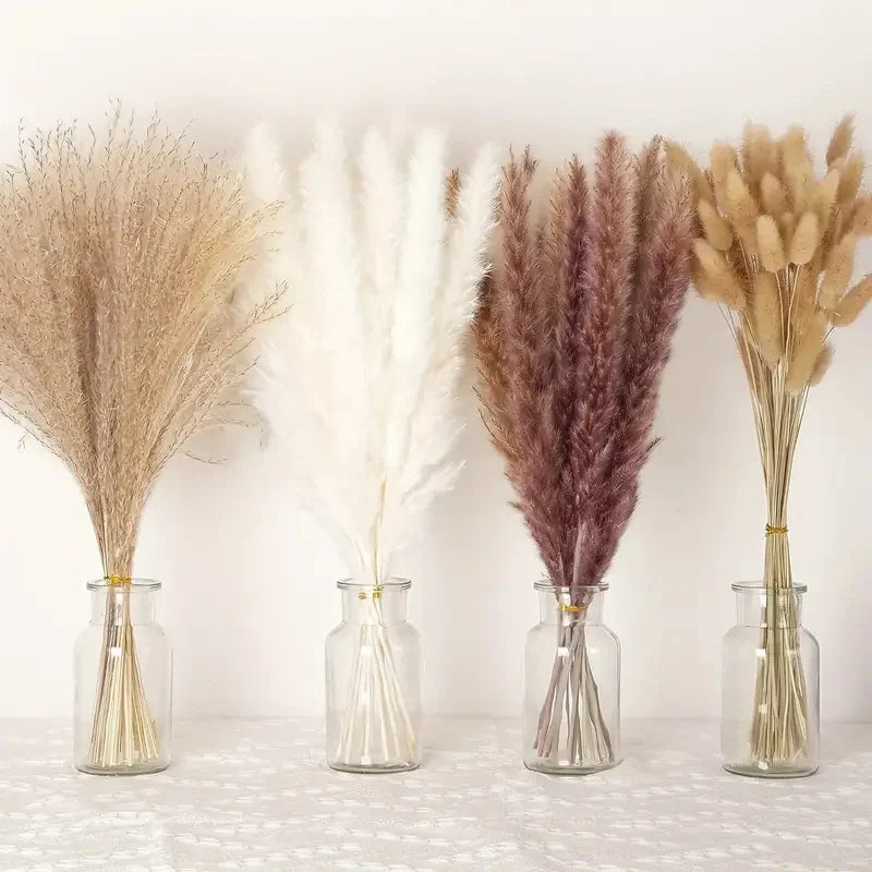 Natural Dried Bunny Tail Grass Flowers