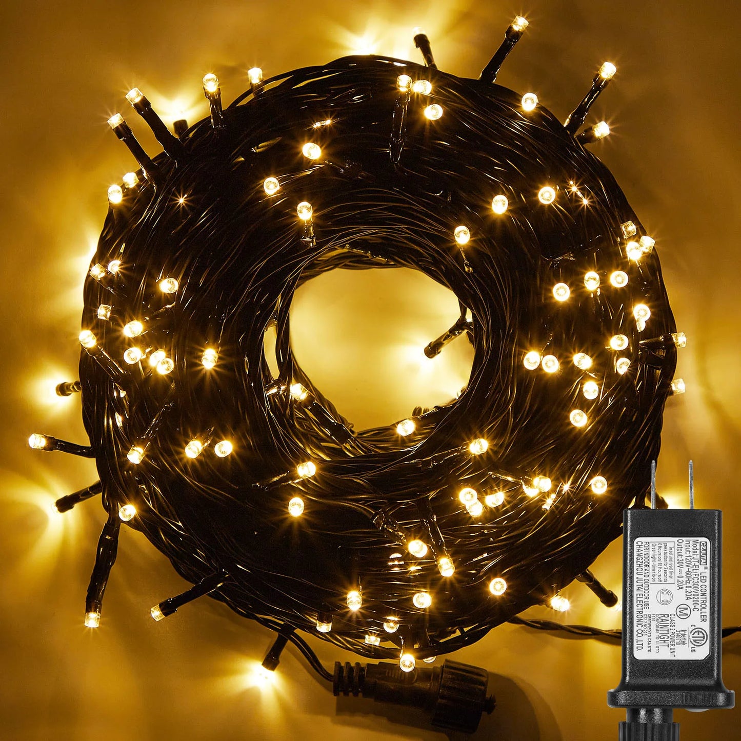 Outdoor Black Wire Fairy String Lights