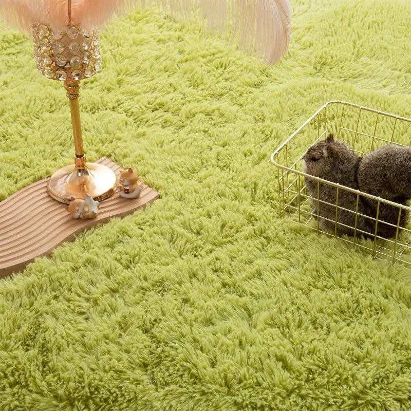 Indoor Soft Fluffy Bedroom Rug