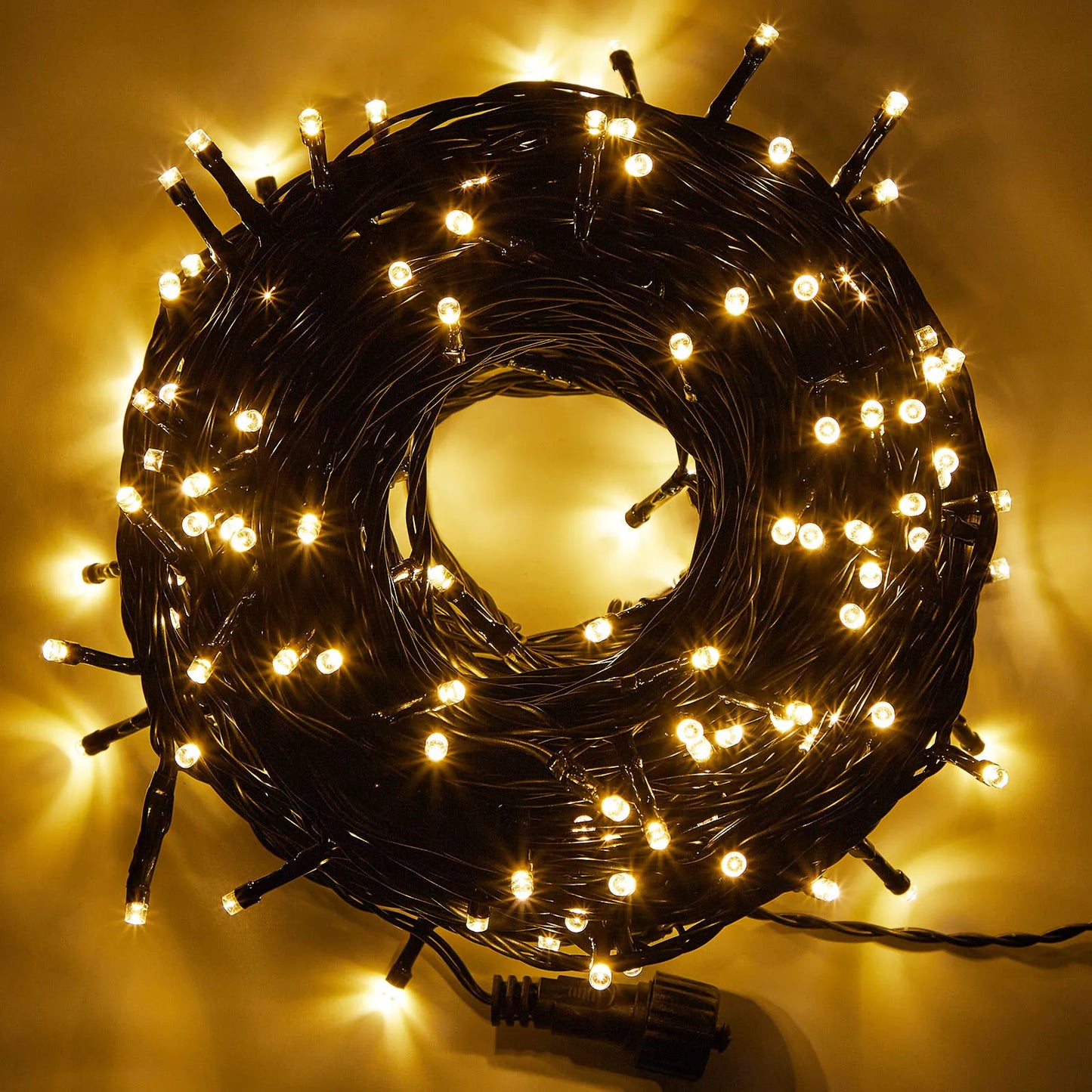 Outdoor Black Wire Fairy String Lights