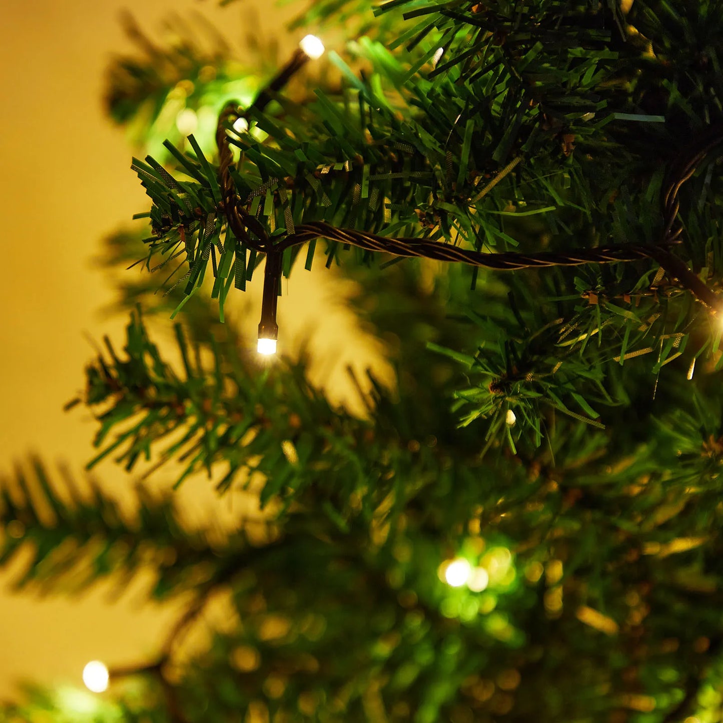 Outdoor Black Wire Fairy String Lights