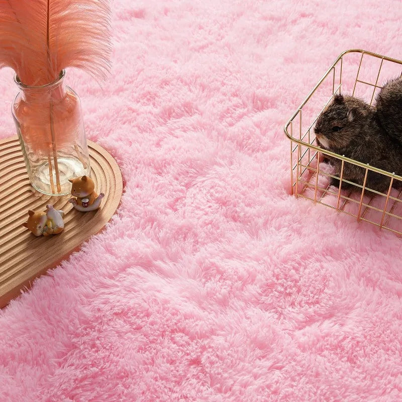 Indoor Soft Fluffy Bedroom Rug