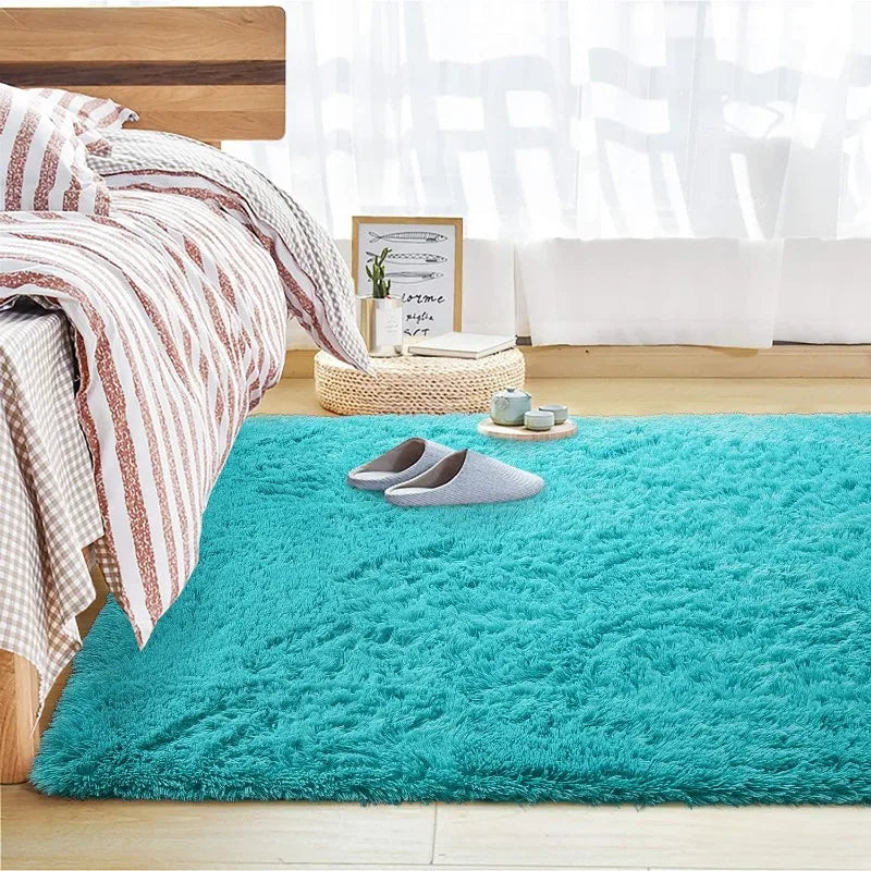 Indoor Soft Fluffy Bedroom Rug