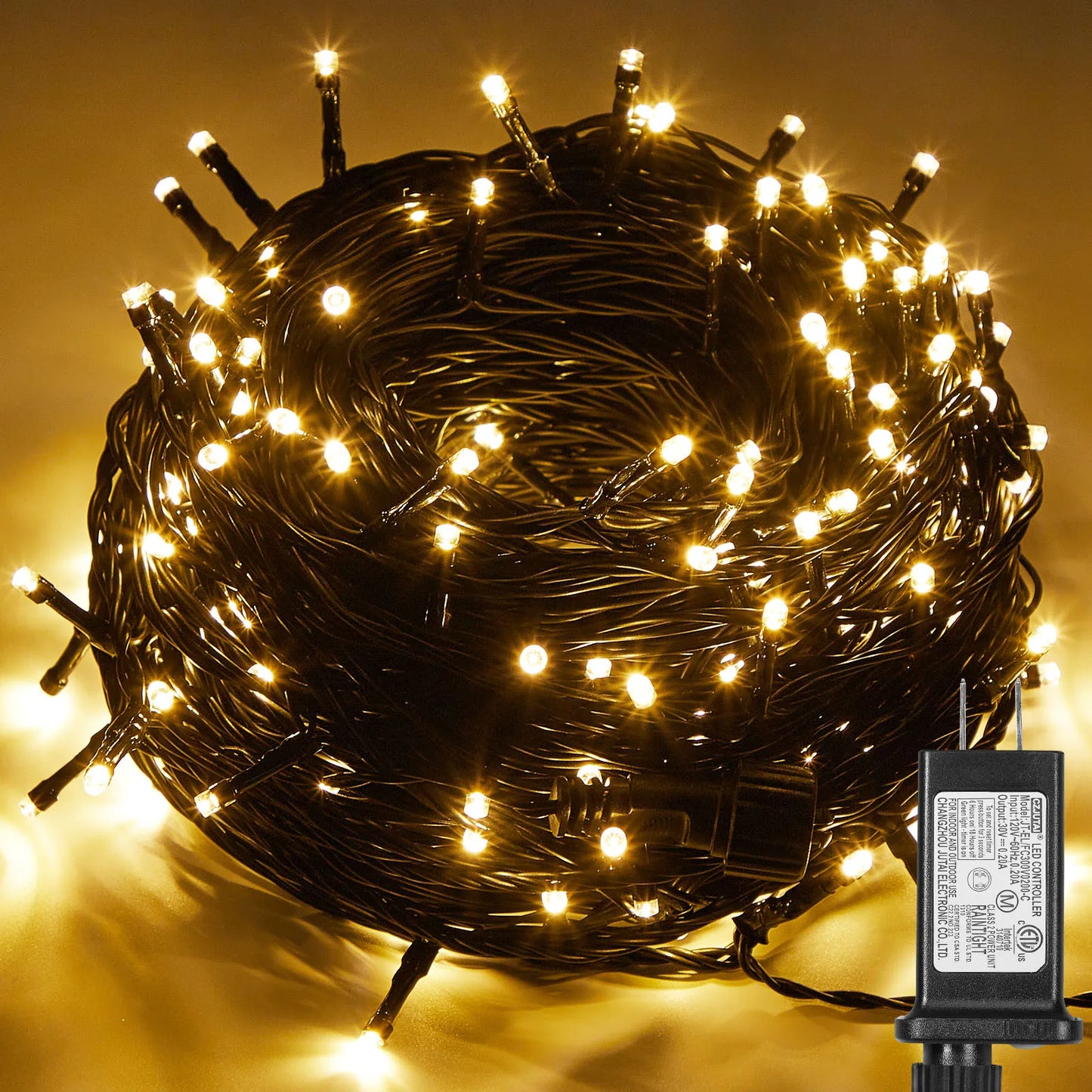 Outdoor Black Wire Fairy String Lights