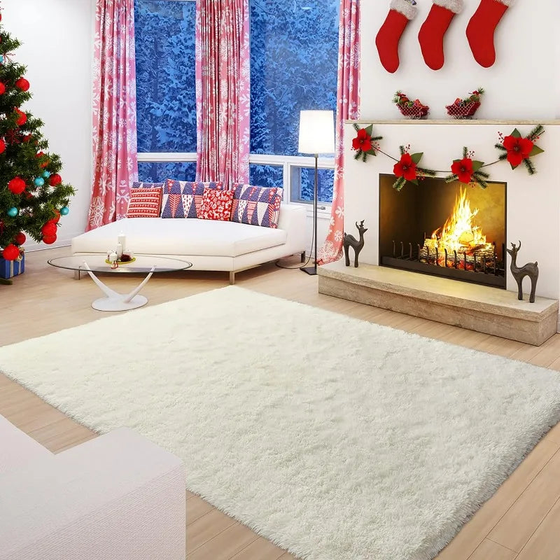 Indoor Soft Fluffy Bedroom Rug